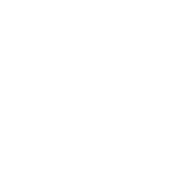 Logo 9